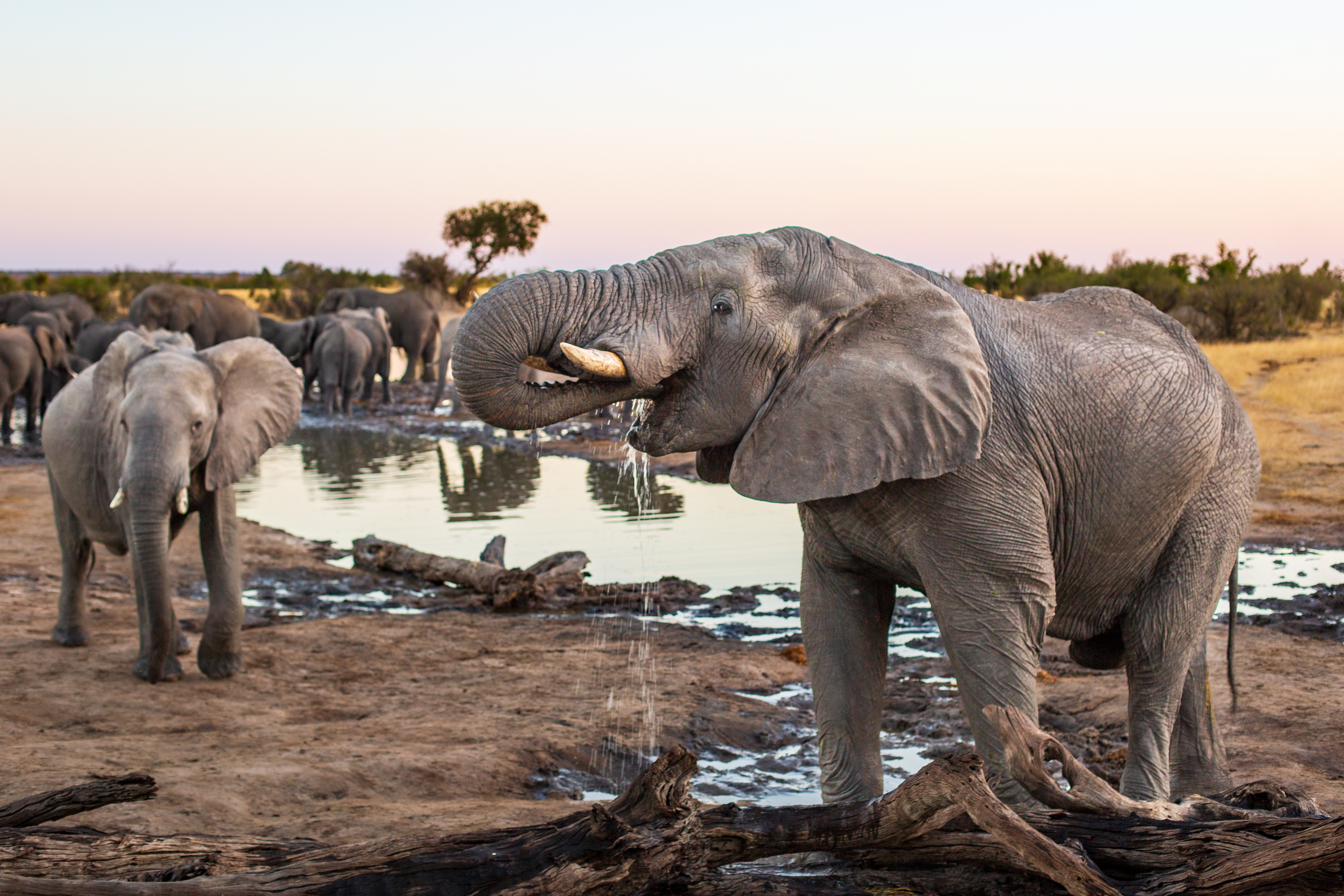 Hwange National Park